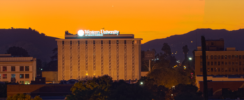 Western University sign