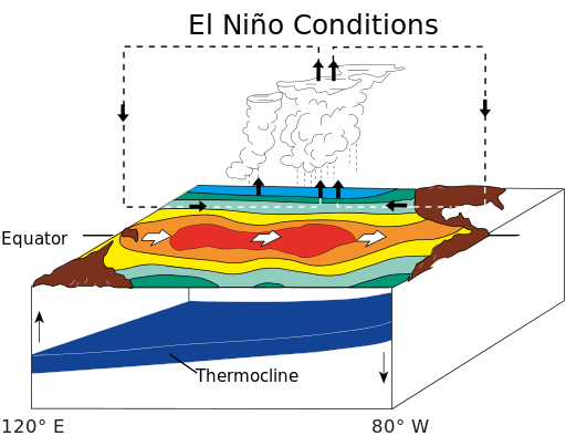Graphic of El Niño conditions