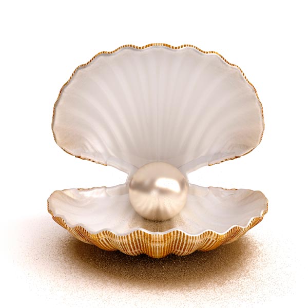 pearl in a clam