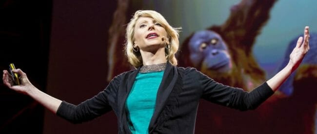 amy cuddy amy cuddy