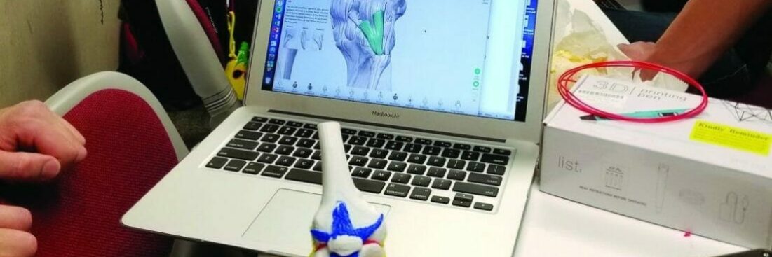 3D model of a skeleton displayed on a laptop