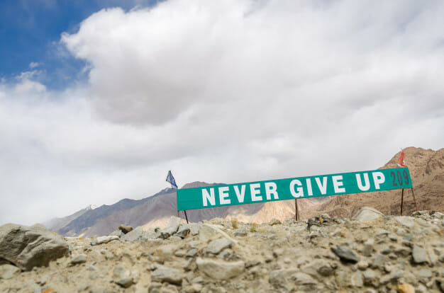 Green sign in desert that reads: Never Give Up