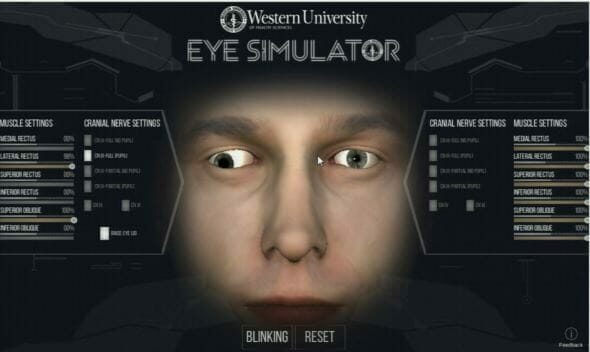 Eye Simulator