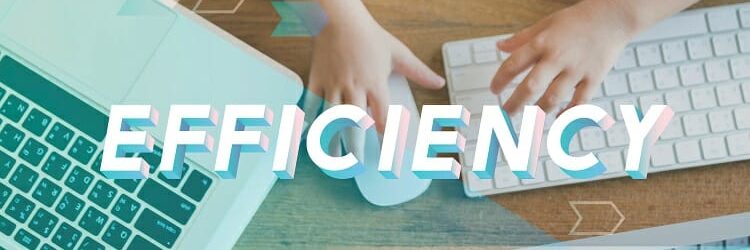 Effective Efficiency Strategy Mission Effective Efficiency Strategy Mission