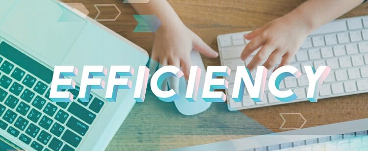 Effective Efficiency Strategy Mission