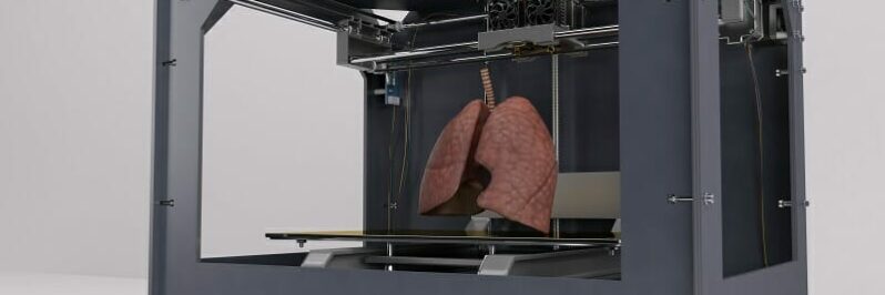 3 Dimensional Printer