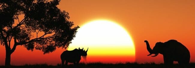 3D african landscape 3D african landscape at dusk